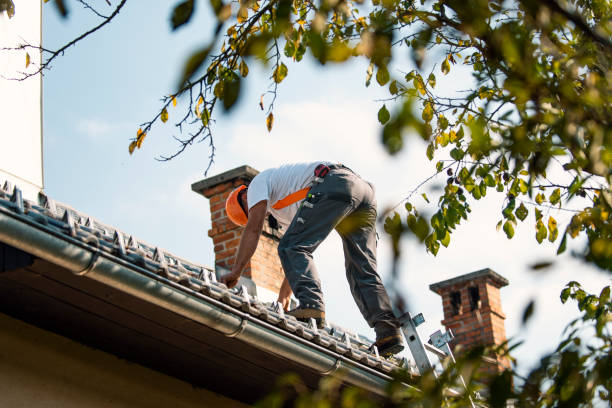 Best Flat Roof Repair Services  in Leonard, TX