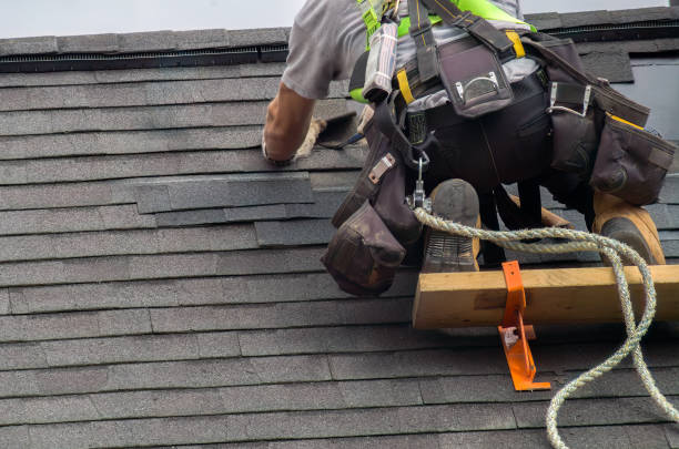 Best Roof Gutter Cleaning  in Leonard, TX