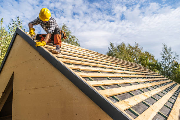 Best Roof Maintenance Services  in Leonard, TX