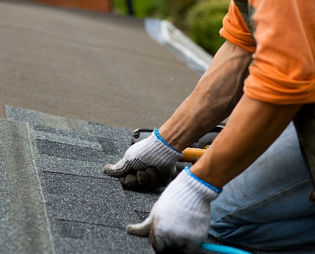 Roof Waterproofing Services in Leonard, TX